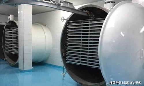 凍干食品市場(chǎng)分析及食品凍干生產(chǎn)設(shè)備發(fā)展趨勢(shì)與光伏設(shè)備及元器件銷(xiāo)售的關(guān)聯(lián)